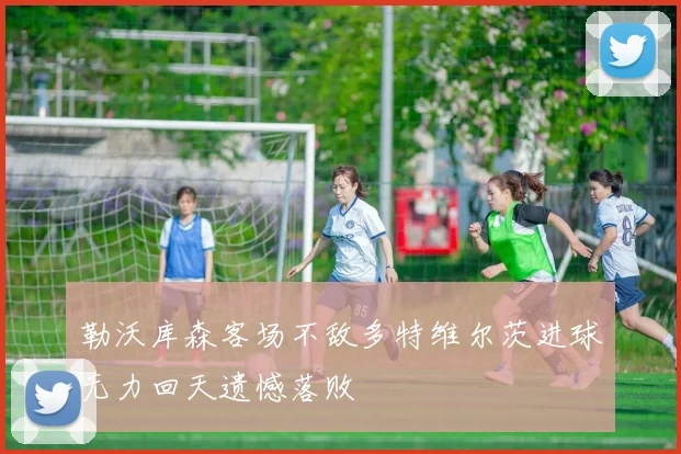 勒沃库森客场不敌多特维尔茨进球无力回天遗憾落败